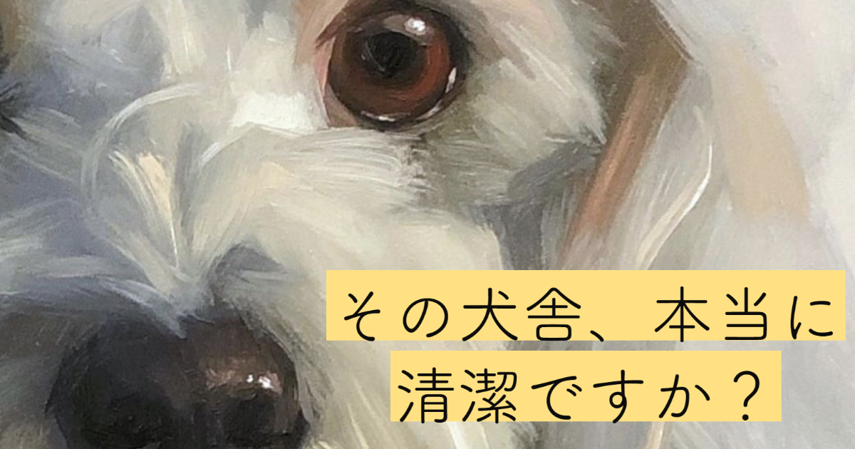 もりたさんちのマルチーズのこだわり_犬舎を清潔に保つ