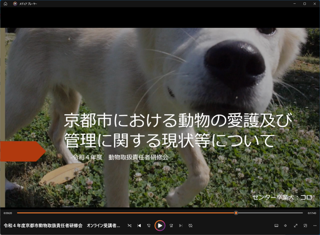 京都市における動物の愛護及び管理に関する現状等について