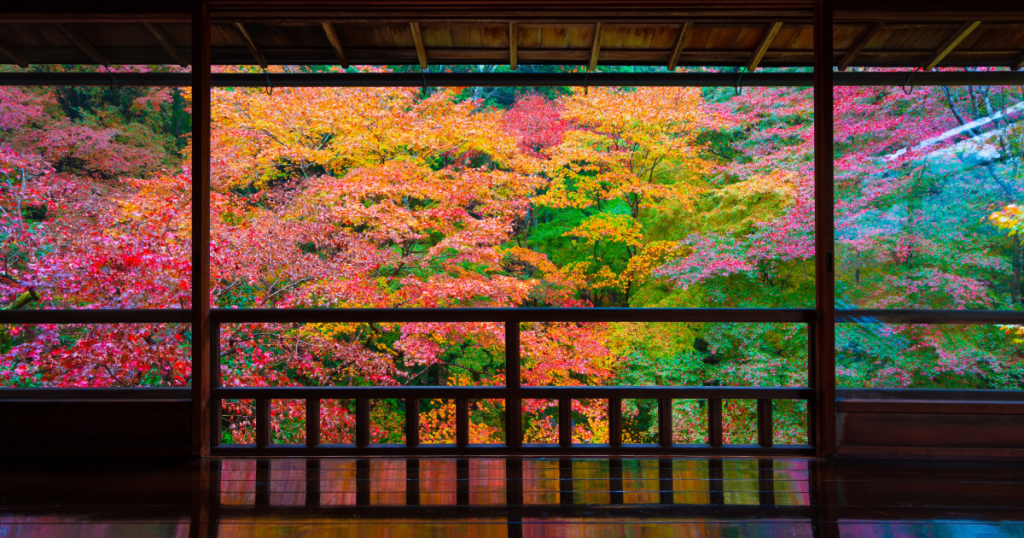 京都のある寺院から望む紅葉