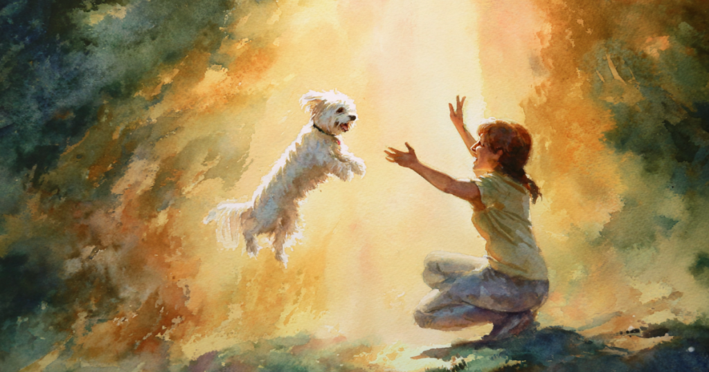 マルチーズの子犬のお迎え準備と、ご家族との信頼関係の構築