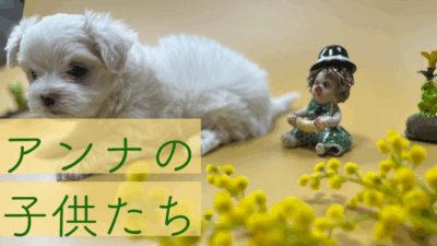 2023年3月17日にアンナが出産した男の子