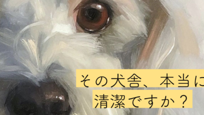 もりたさんちのマルチーズのこだわり_犬舎を清潔に保つ