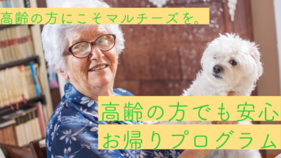 サービス紹介_高齢の方でも安心お帰りプログラム